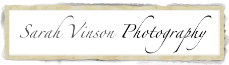   Sarah Vinson  Photography
Specializing in Family, Maternity, Baby, Engagement & Wedding Photos

                Specializing in Family, Maternity, Baby, Engagement & Wedding Photos