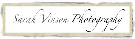   Sarah Vinson  Photography
Specializing in Family, Maternity, Baby, Engagement & Wedding Photos

                Specializing in Family, Maternity, Baby, Engagement & Wedding Photos