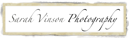  Sarah Vinson  Photography
Specializing in Family, Maternity, Baby, Engagement & Wedding Photos

                Specializing in Family, Maternity, Baby, Engagement & Wedding Photos
