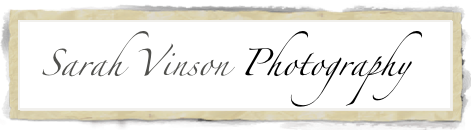   Sarah Vinson Photography


                Specializing in Family, Maternity, Baby, Engagement & Wedding Photos